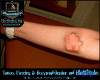Bodymodification Galerie - professionell bodymodification und piercen-lernen.de (34) (Klein)