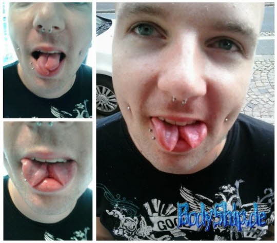 Bodymodification Galerie - professionell bodymodification und piercen-lernen
