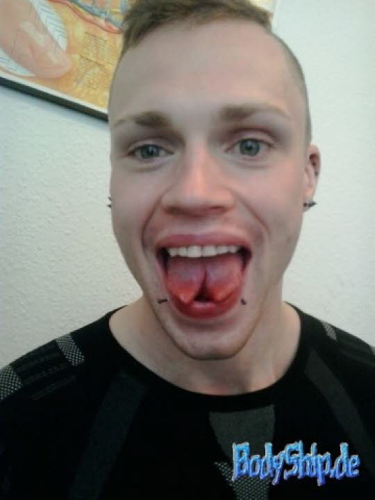 Bodymodification Galerie - professionell bodymodification und piercen-lernen