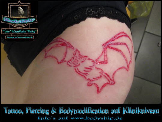 Bodymodification Galerie - professionell bodymodification und piercen-lernen