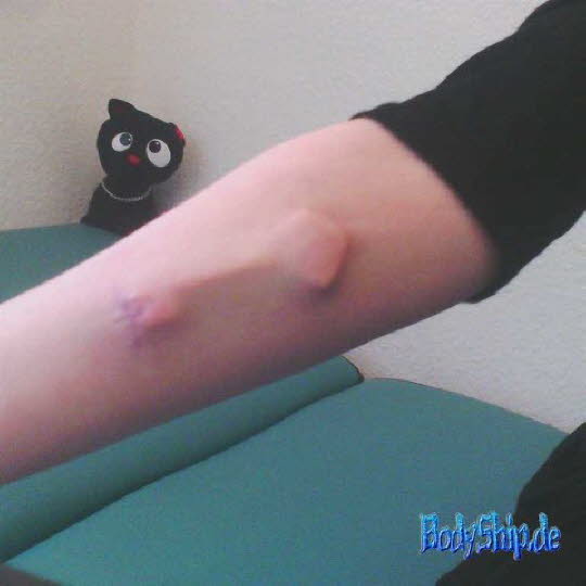 Bodymodification Galerie - professionell bodymodification und piercen-lernen