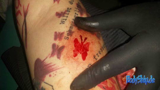 Bodymodification Galerie - professionell bodymodification und piercen-lernen