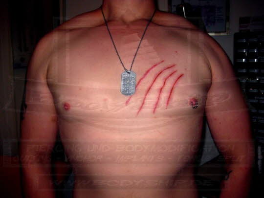 Bodymodification Galerie - professionell bodymodification und piercen-lernen