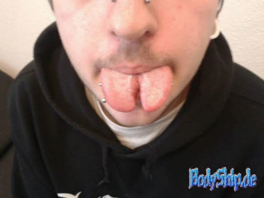 Bodymodification Galerie - professionell bodymodification und piercen-lernen