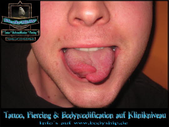 Bodymodification Galerie - professionell bodymodification und piercen-lernen