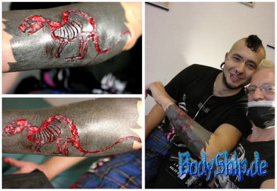 Bodymodification Galerie - professionell bodymodification und piercen-lernen