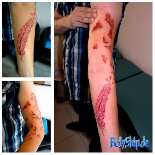Feder Vögel Cutting professionell bodymodification und piercen-lernen